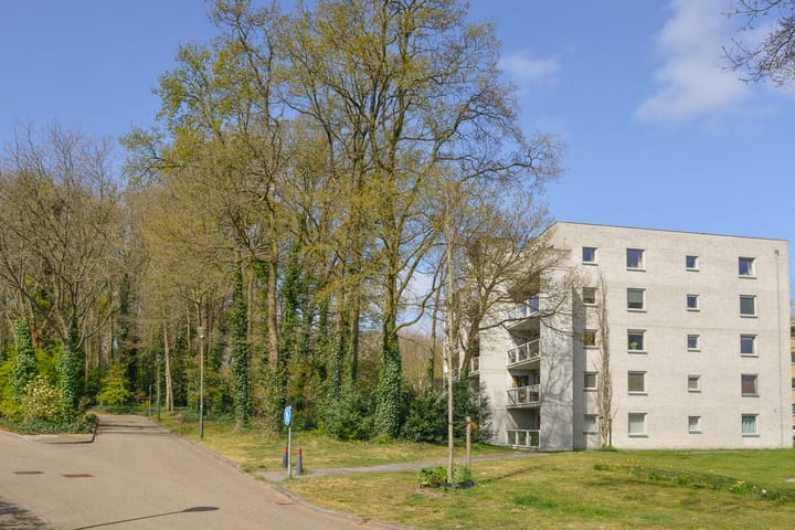 Foto 16 van Mondriaanstraat 112