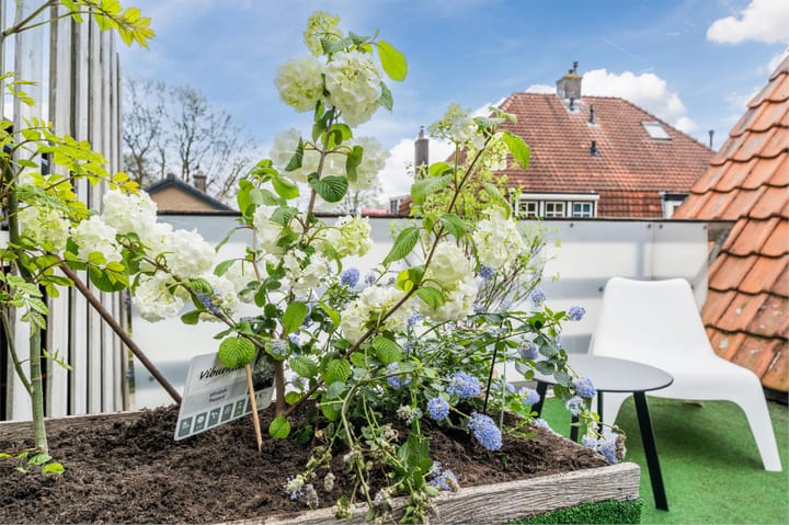 Foto 23 van Sparrenlaan 28