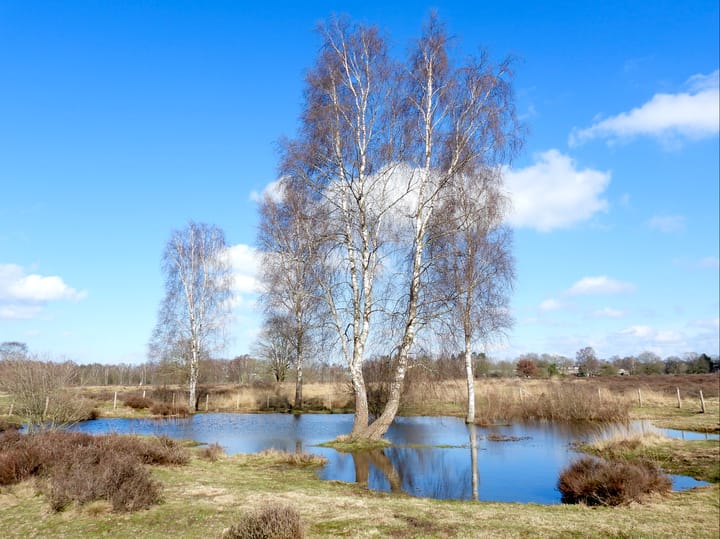 Photo 43 of Retiefstraat 221