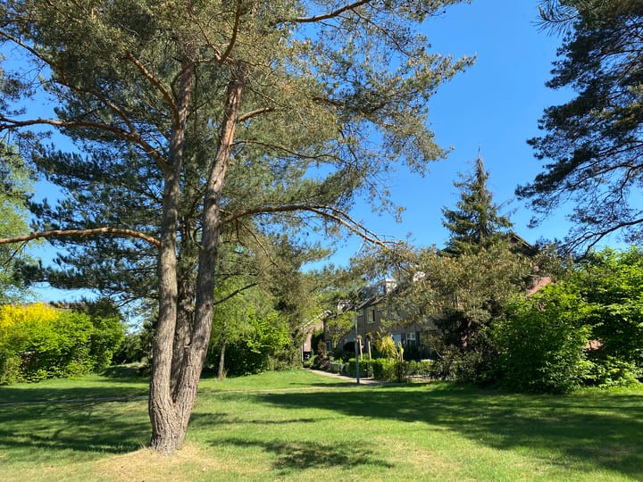 Photo 44 of Retiefstraat 221