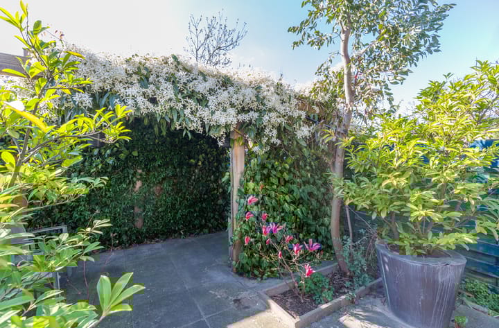 Foto 9 van Diabellistraat 49