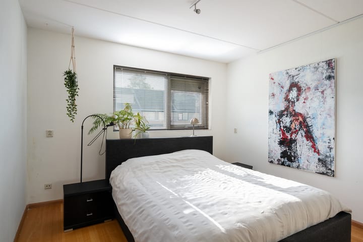 Foto 21 van Diabellistraat 49