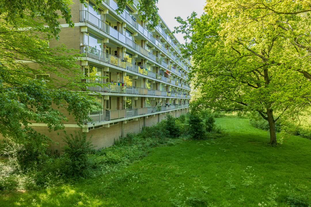 Foto 1 van Frans Halslaan 59