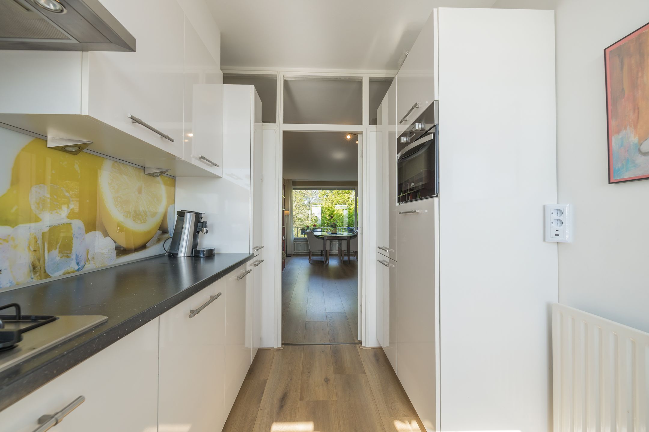 Foto 12 van Frans Halslaan 59