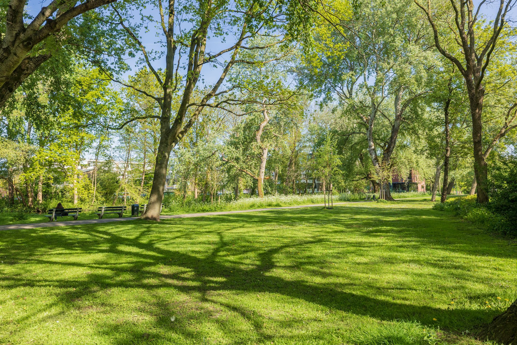 Foto 33 van Frans Halslaan 59