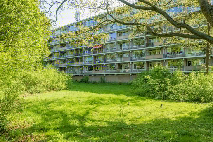 Photo 34 of Frans Halslaan 59