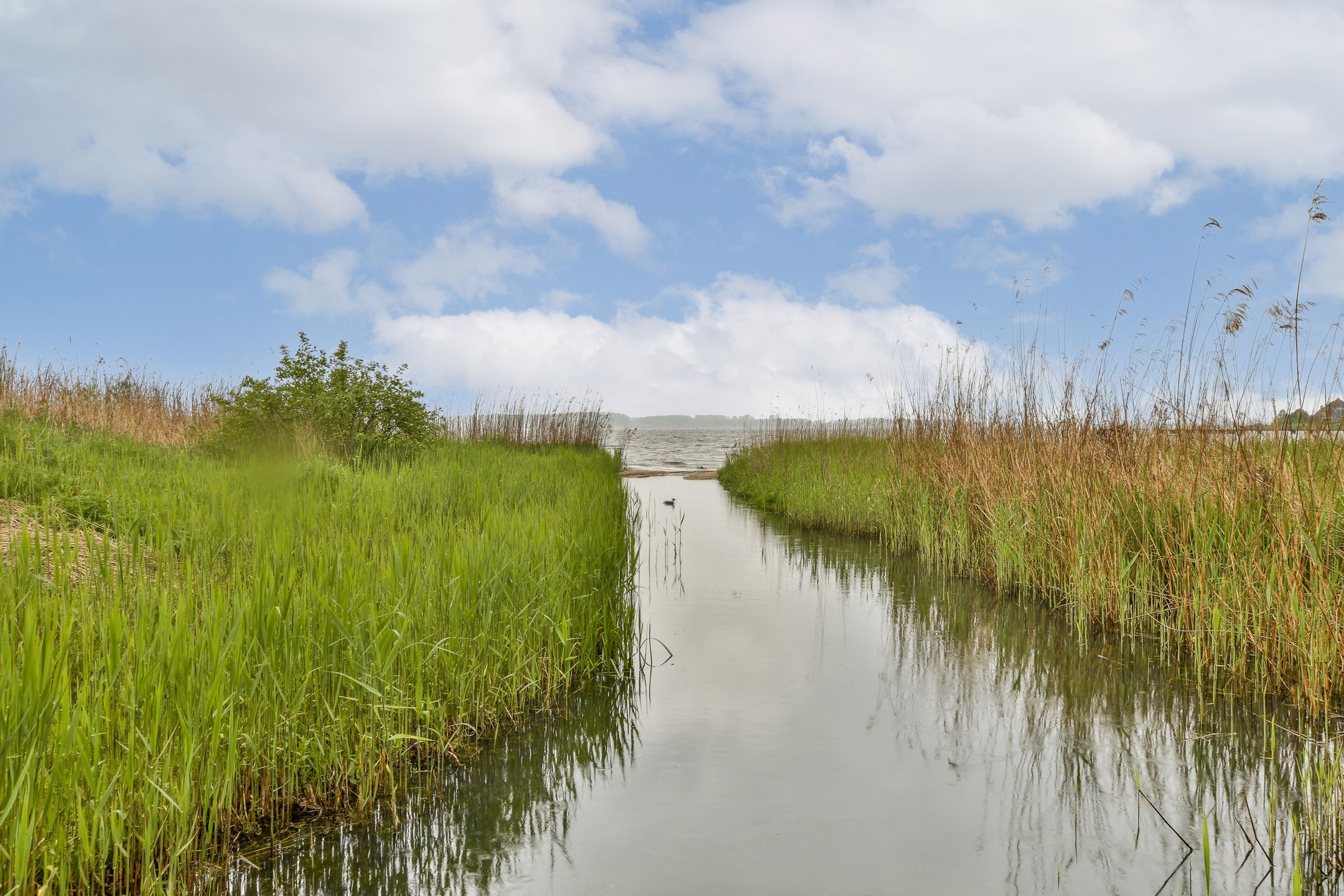 Photo 27 of Zomerkade 74