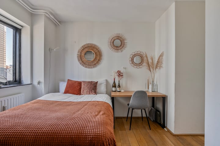 Foto 15 van Schiedamsedijk 52-D