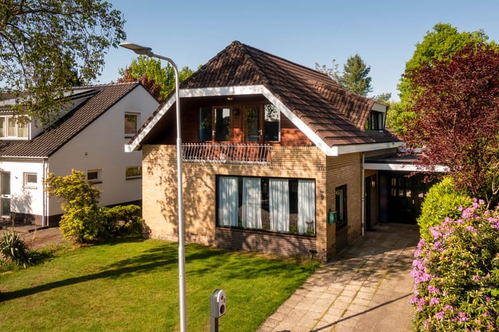 Foto 1 van Nederheide 9