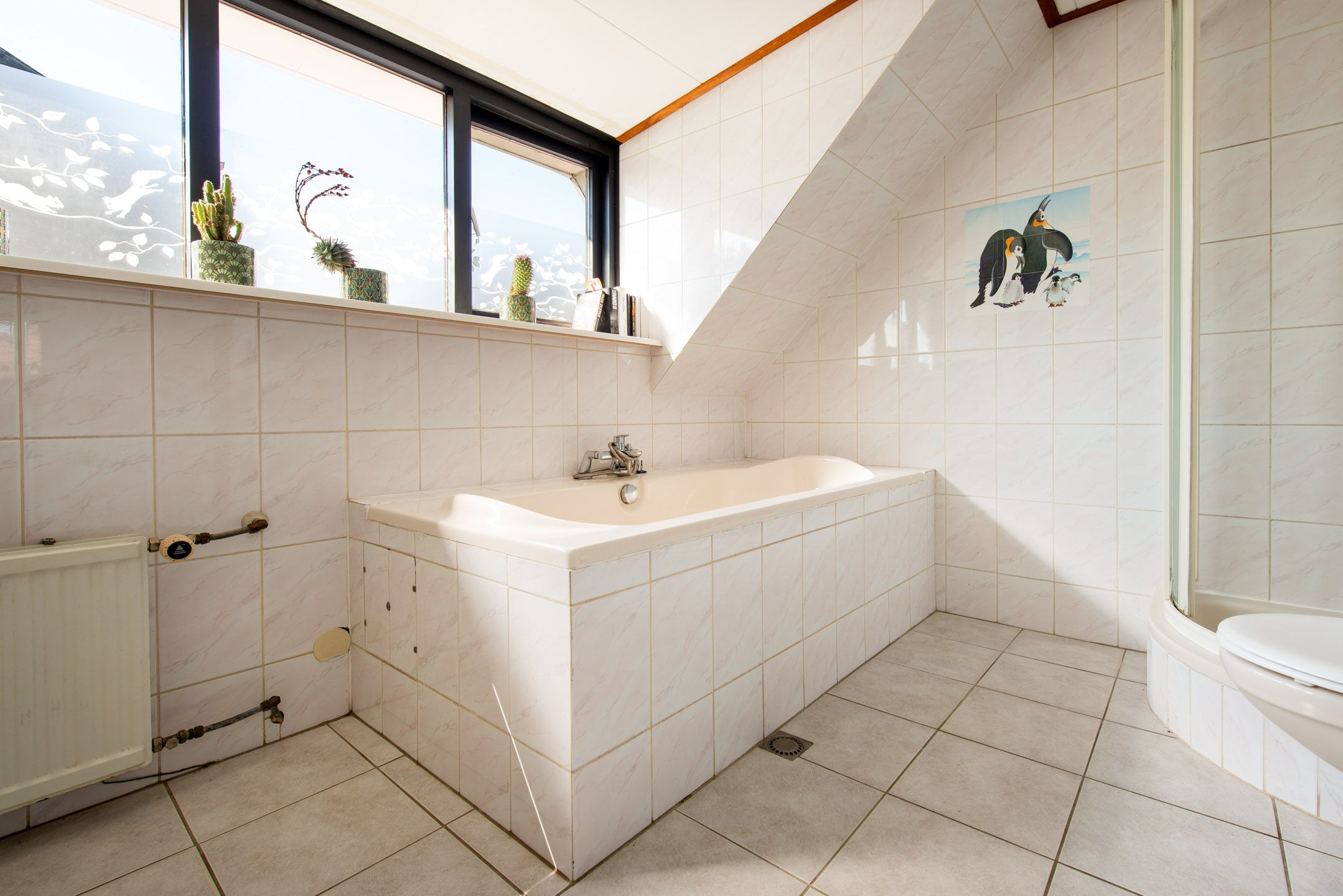 Foto 33 van Nederheide 9