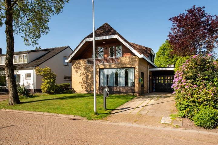 Foto 43 van Nederheide 9