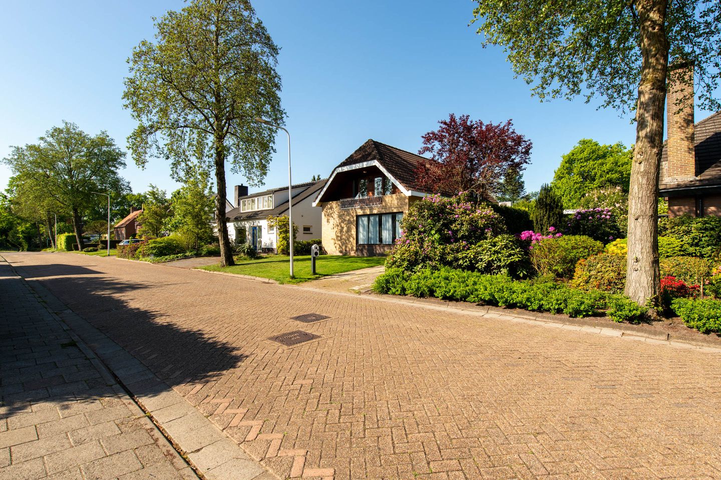 Foto 44 van Nederheide 9