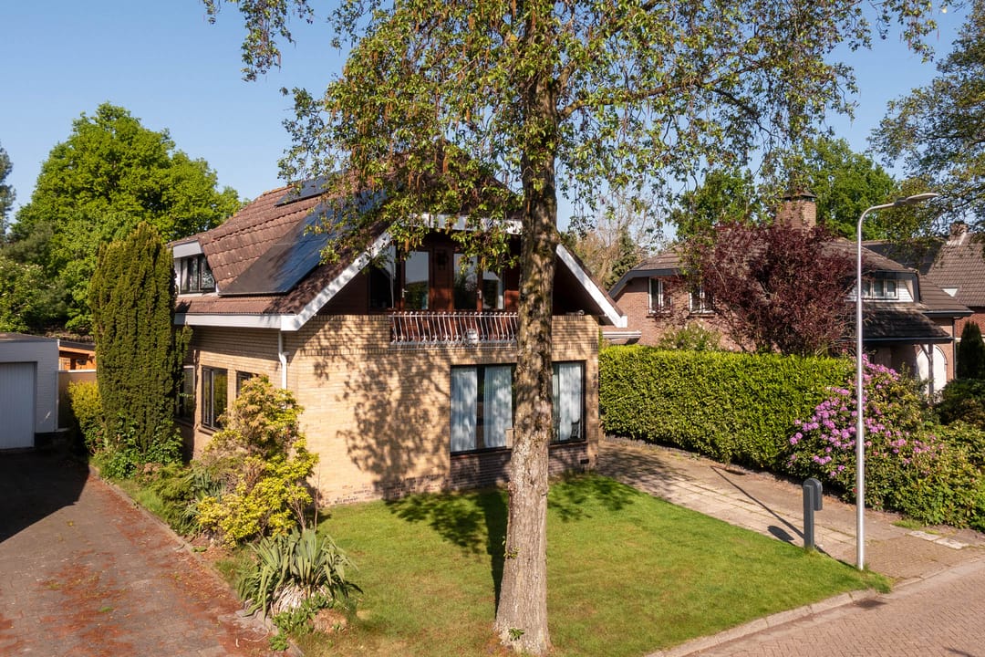 Foto 46 van Nederheide 9