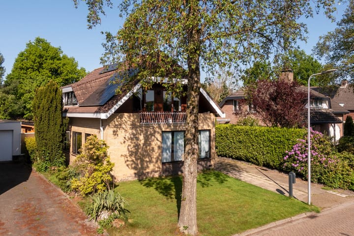 Foto 46 van Nederheide 9