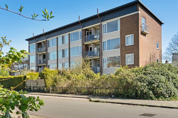 Foto 4 van Europalaan 294