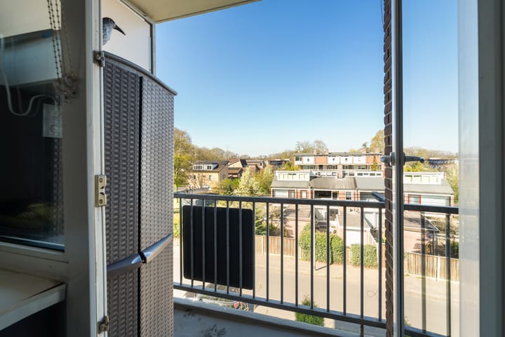 Foto 17 van Europalaan 294