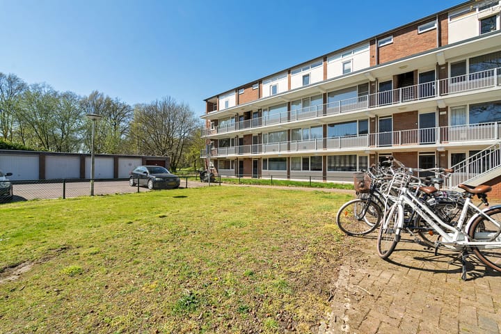 Foto 29 van Europalaan 294