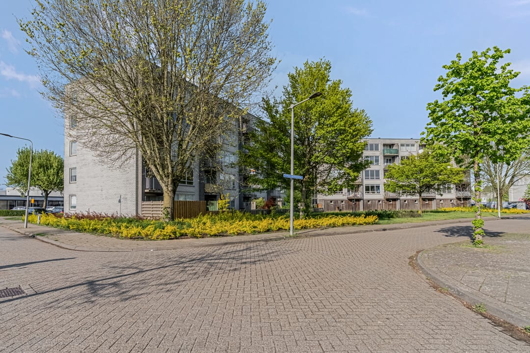 Foto 23 van Mr. Samuel van Houtenhof 62