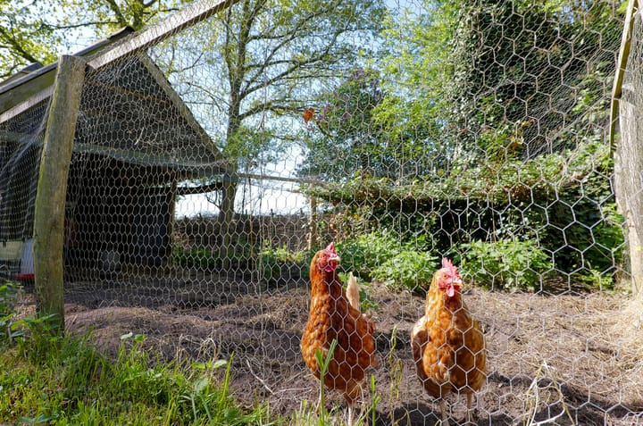 Foto 37 van Geelbroek 5