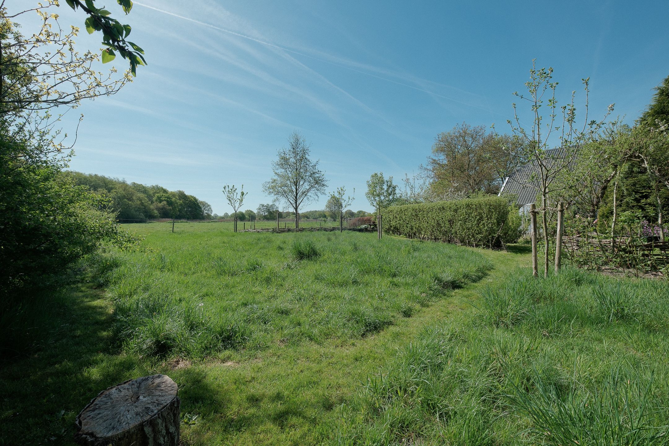 Foto 39 van Geelbroek 5