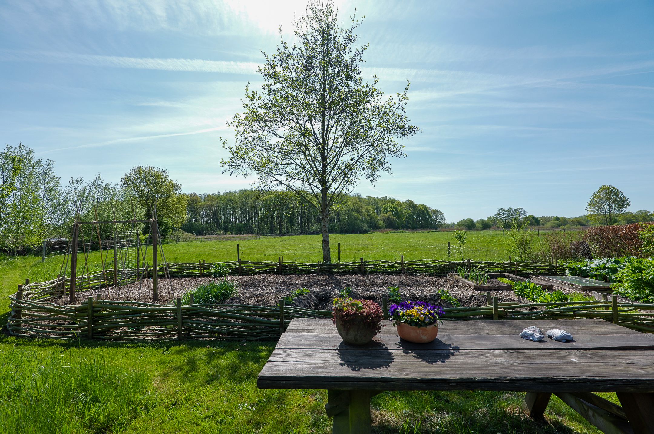 Foto 42 van Geelbroek 5