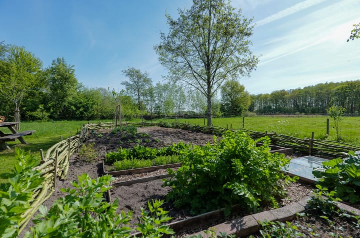 Foto 43 van Geelbroek 5