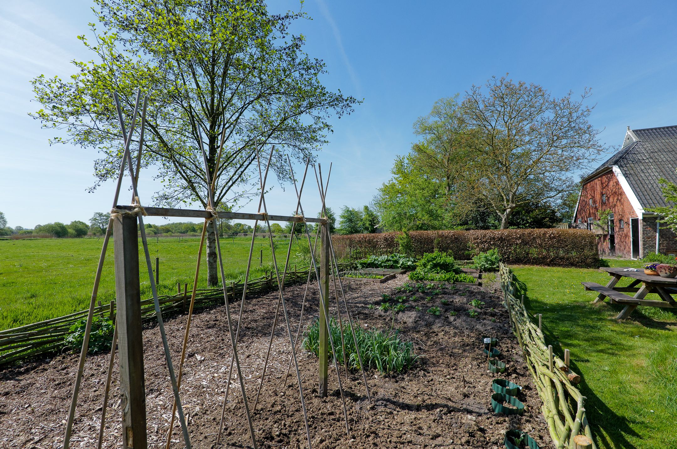 Foto 45 van Geelbroek 5