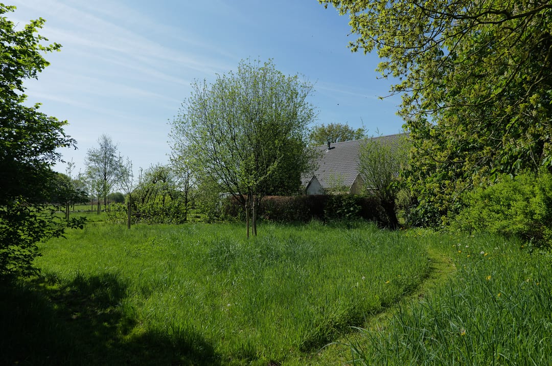 Foto 47 van Geelbroek 5