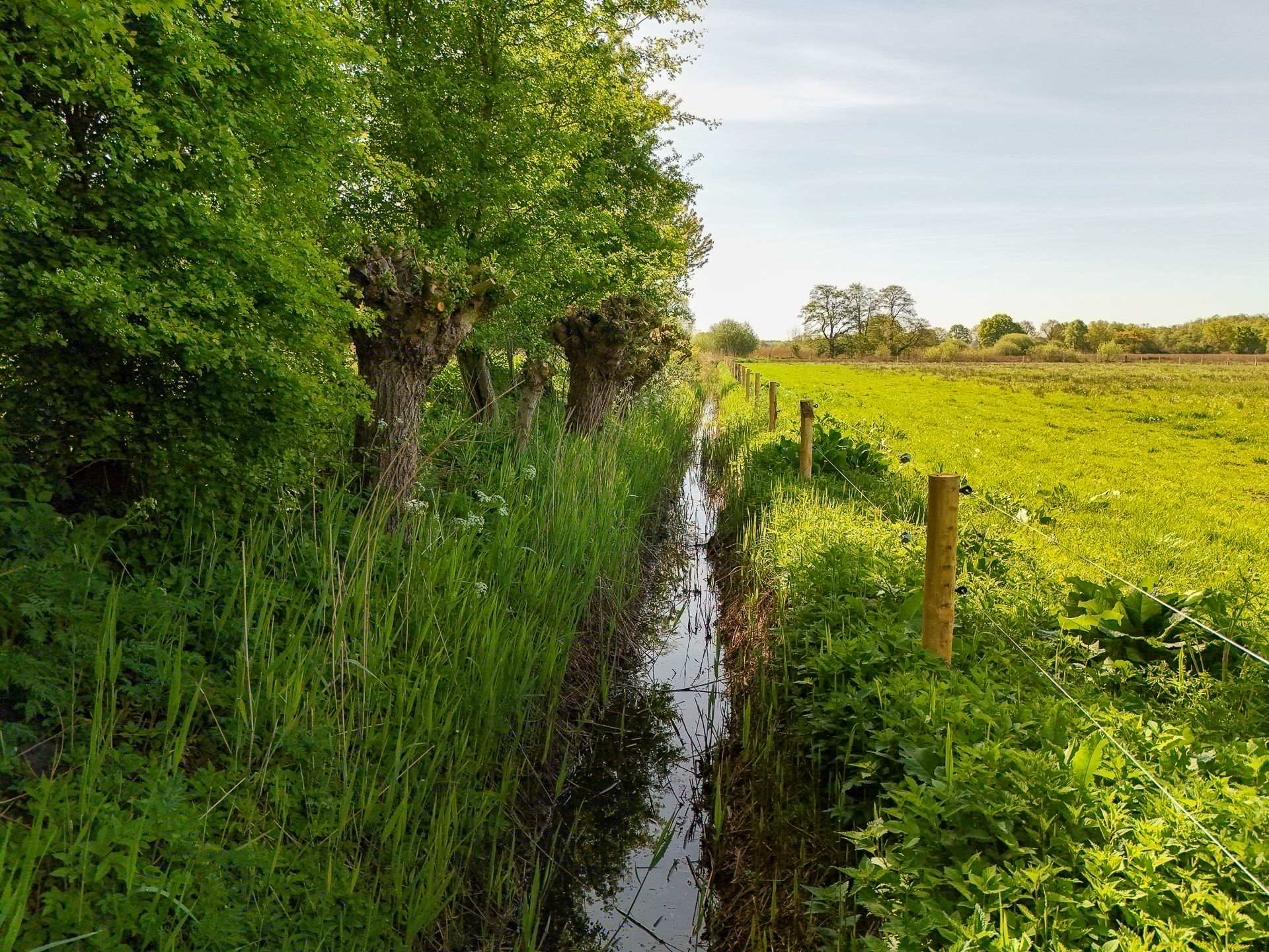 Foto 54 van Geelbroek 5