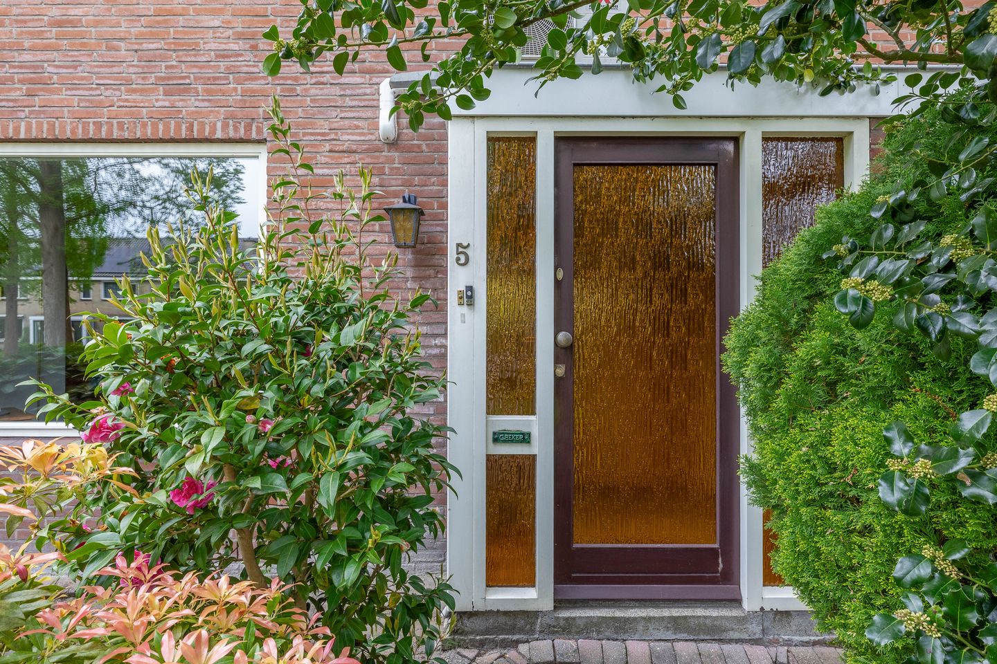 Foto 5 van Sleedoornsingel 5