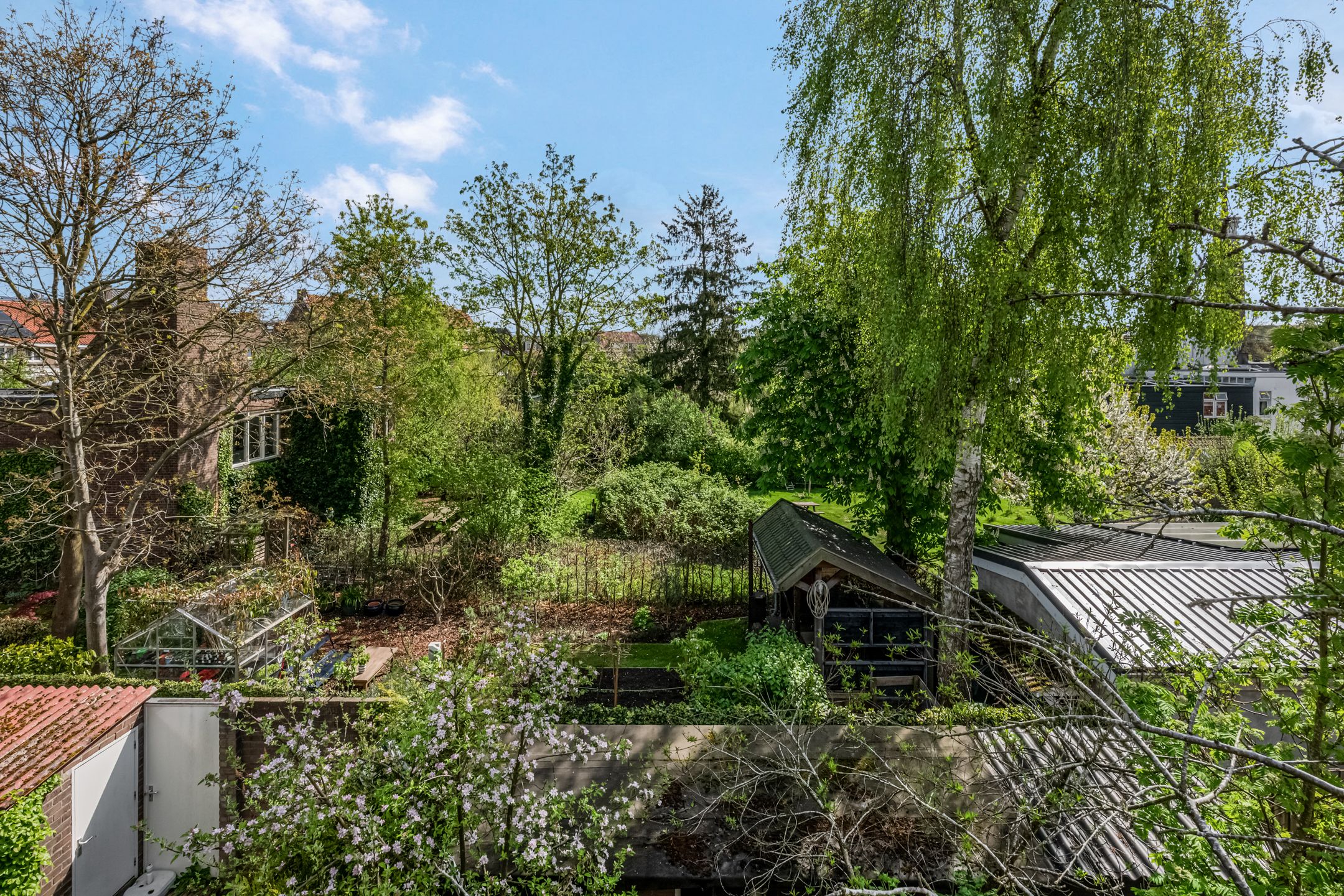 Foto 36 van Frans Halsstraat 79