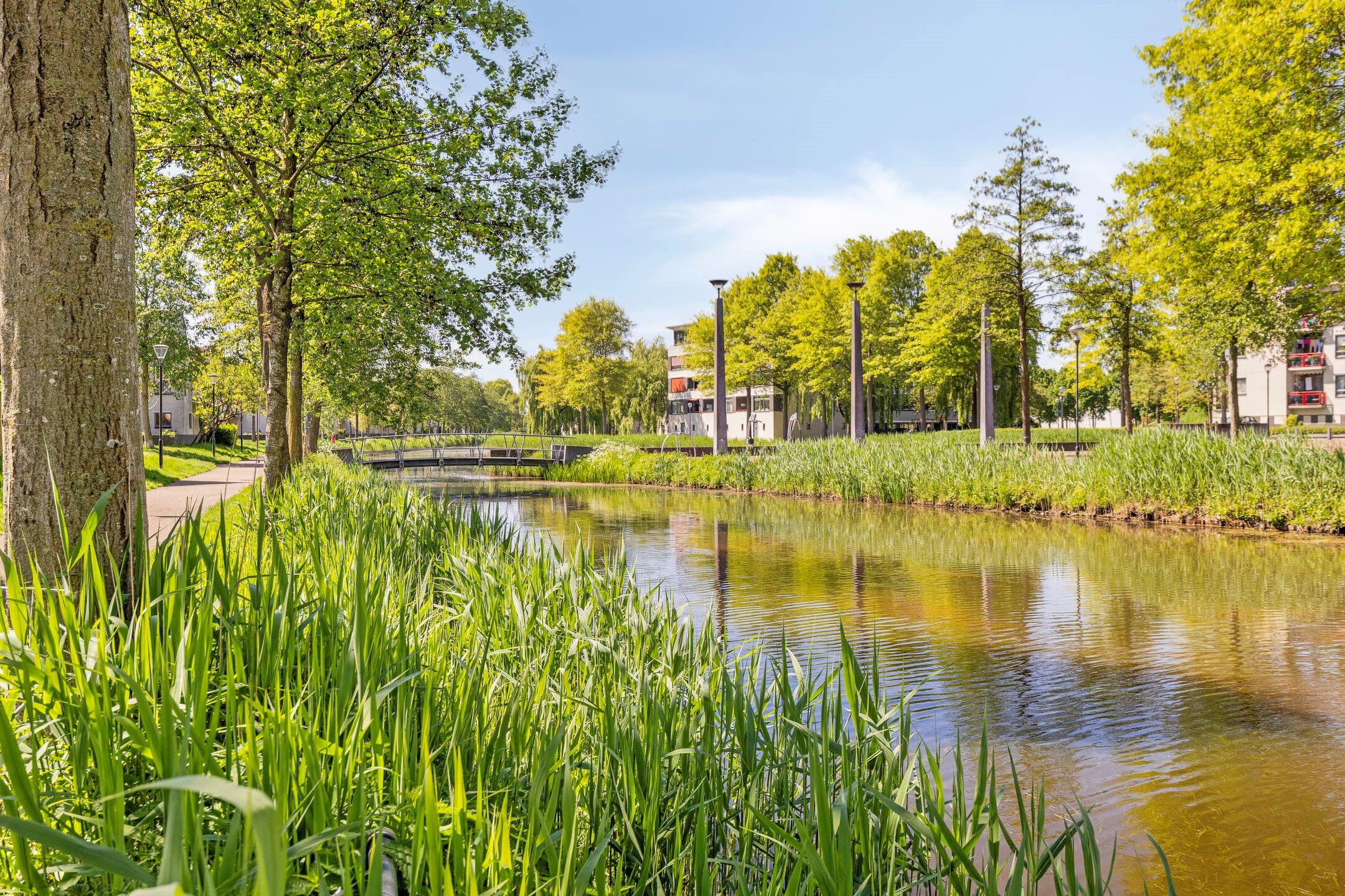 Foto 27 van Pastoor Hoekx-singel 73