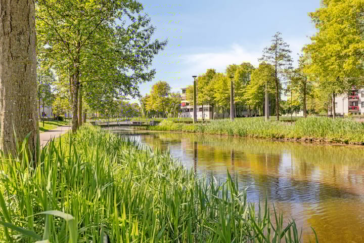 Foto 27 van Pastoor Hoekx-singel 73