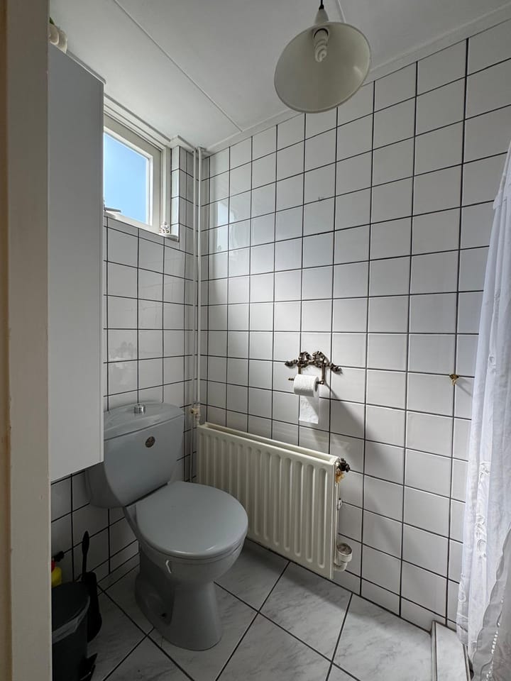 Foto 16 van Tholensstraat 98