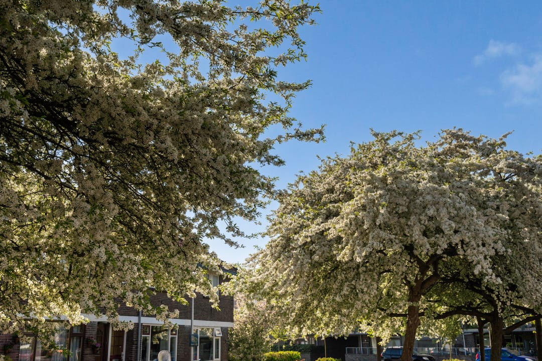 Foto 7 van Gouwsluisseweg 92