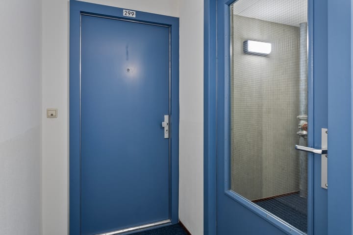 Foto 9 van Wijnbrugstraat 299