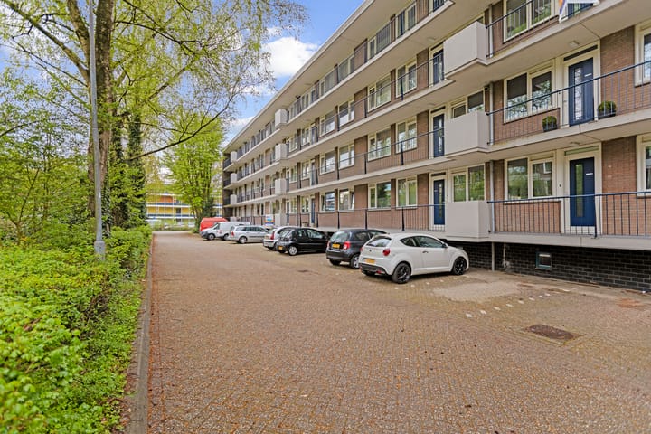 Thorbeckestraat 38