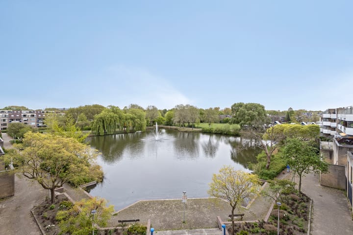 Foto 5 van Henry Moorepassage 148