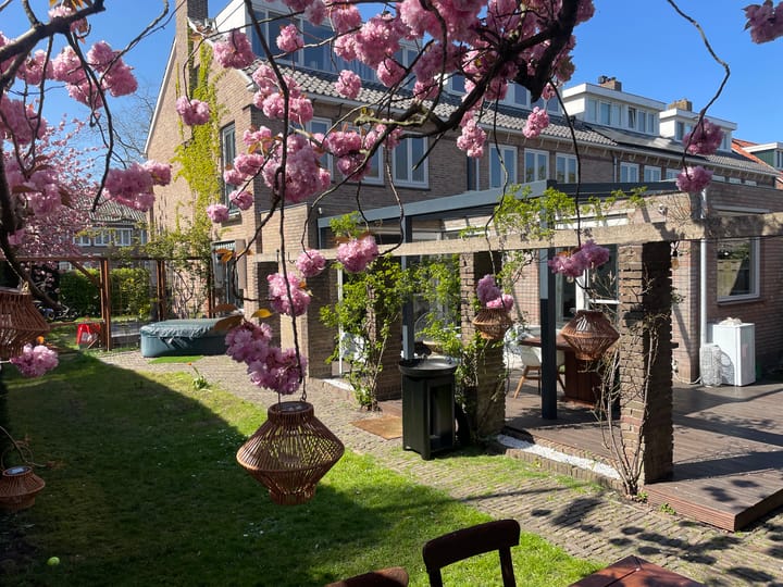 Foto 50 van Mr. S. van Houtenlaan 2