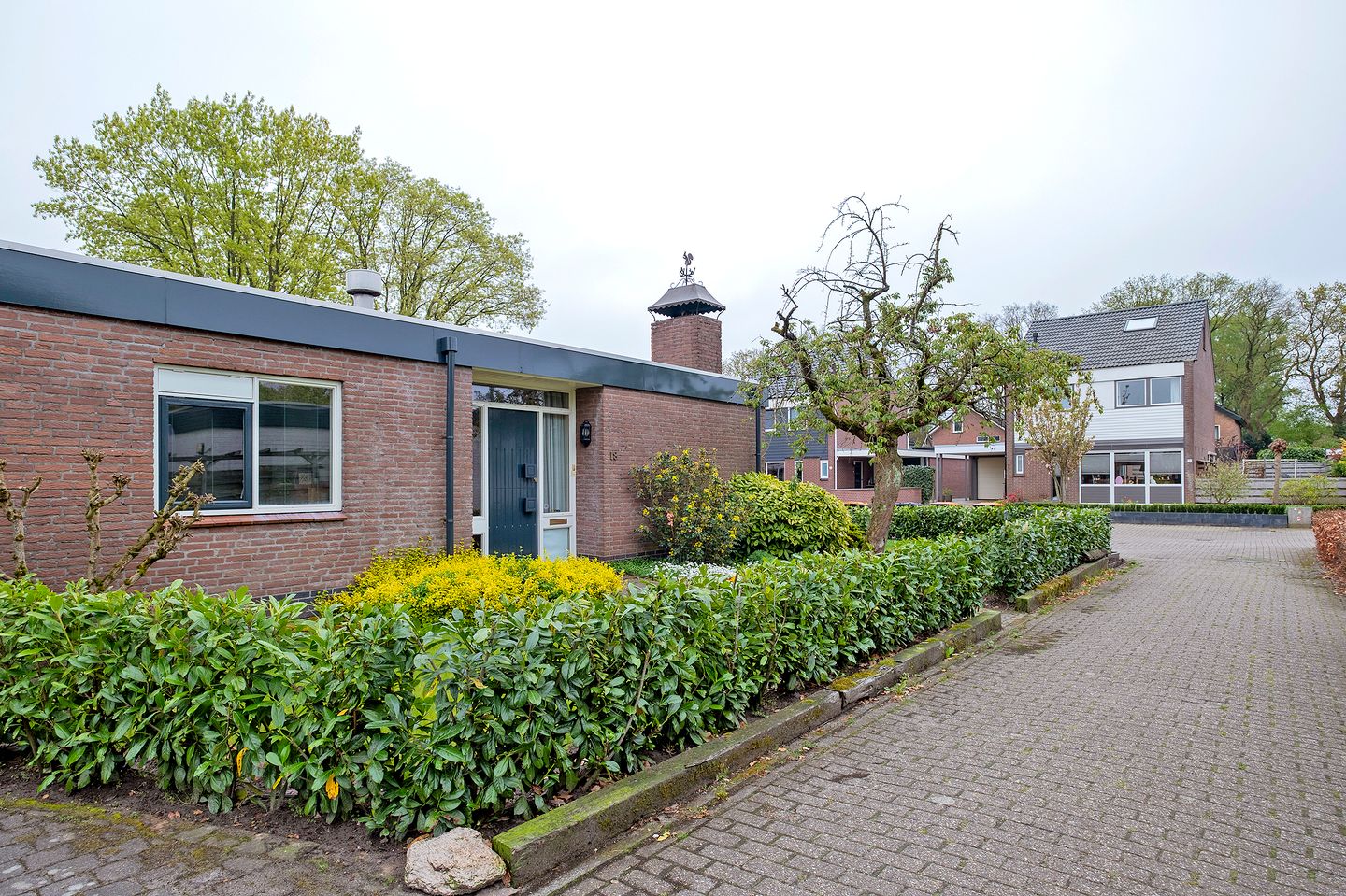 Foto 44 van Borgerbrink 18