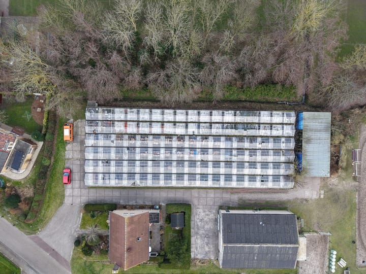 Foto 6 van Luilaantje 36-A