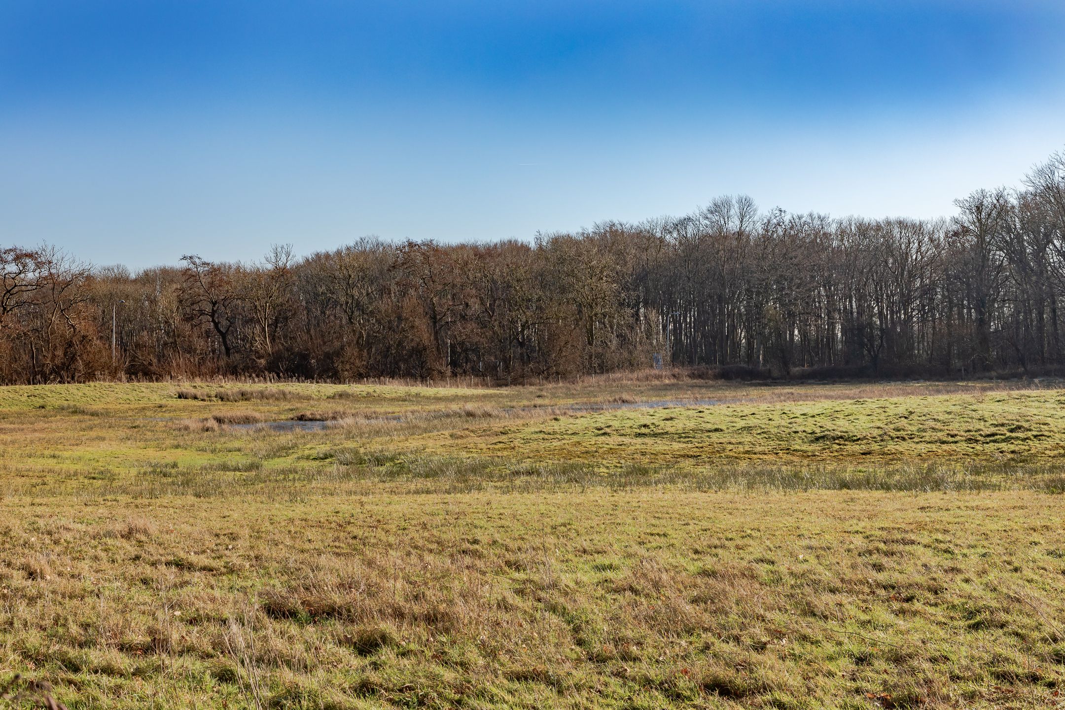 Foto 9 van Luilaantje 36-A