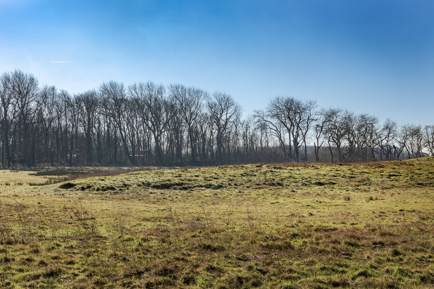 Foto 10 van Luilaantje 36-A