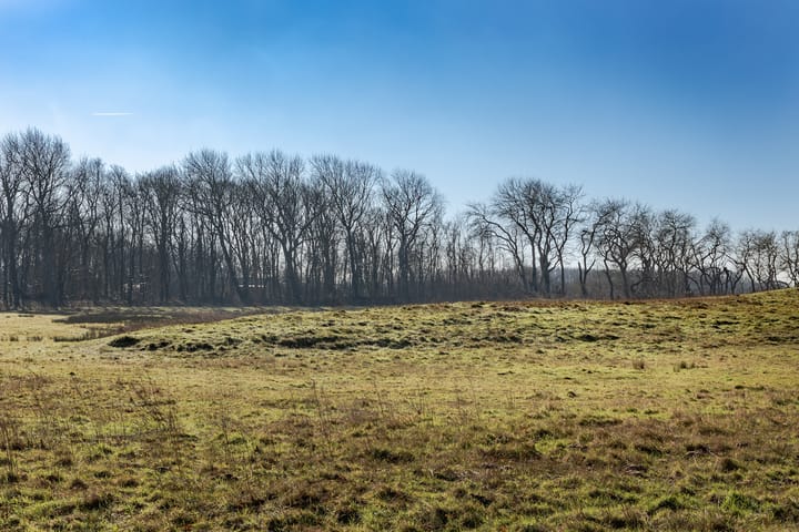 Foto 10 van Luilaantje 36-A