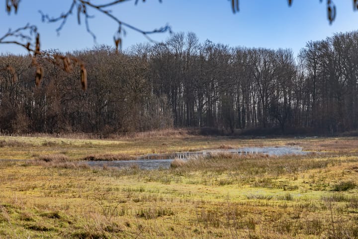 Foto 11 van Luilaantje 36-A