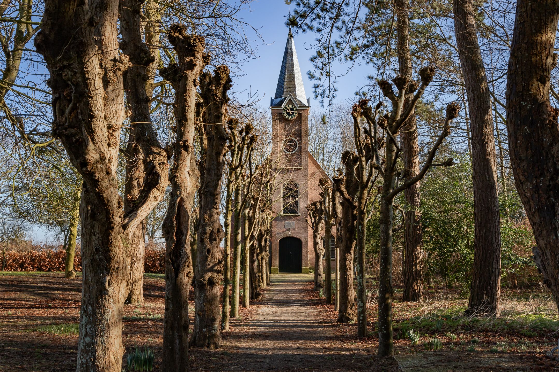 Foto 18 van Luilaantje 36-A