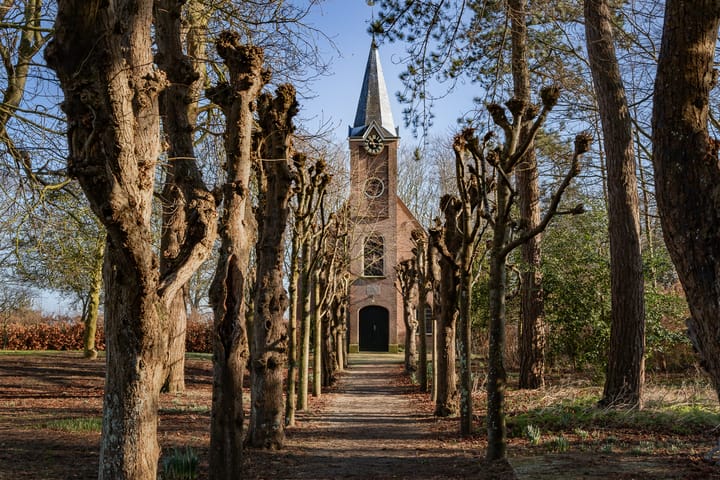 Foto 18 van Luilaantje 36-A