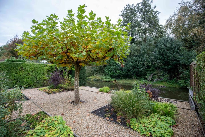 Foto 54 van Händelstraat 58