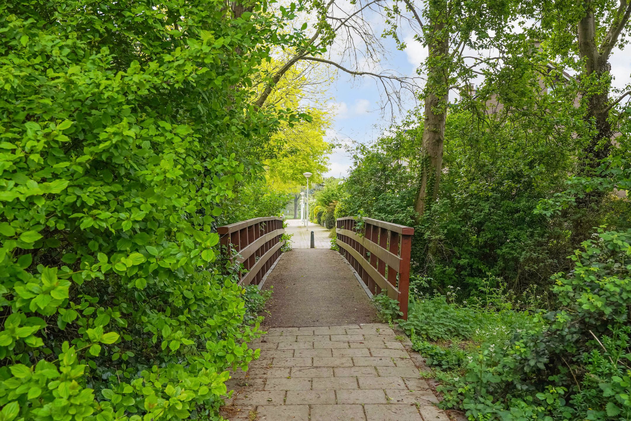 Photo 30 of Architect Wesstrakade 18