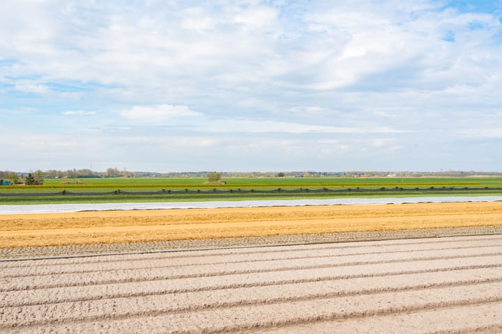 Foto 41 van Hogeweg 23